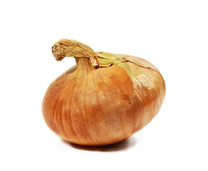 Ripe onion on a white background