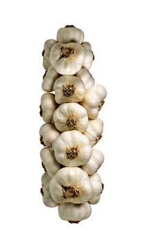 Bunch of garlic isolated