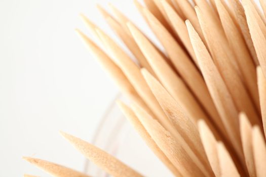 toothpick macro close up