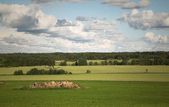 A typical summer view along the country side of Sweden, with green fields and forests.