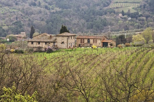 farmland and countryside in Chianti, Tuscany, Italy