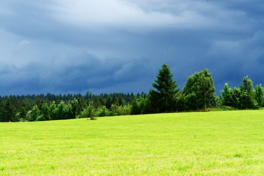 Landscape with some trees and many dark clouds