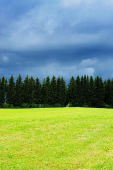 Landscape with some trees and many dark clouds