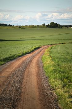 A rural road winding through typical green fields in a swedish landscape.