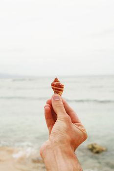 beautiful ocean mood on a warm but cloudy day