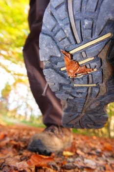 hiking view from the ground