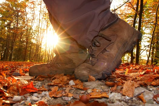 hiking view from the ground