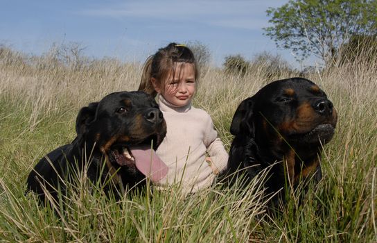 little girl and two dangerous purebred rottweiler