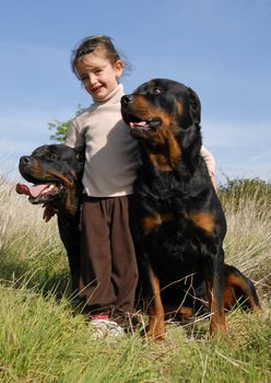 little girl and her two dogs purebred rottweilers