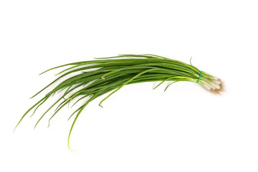 Fresh scallions isolated on a white background with soft shadow.