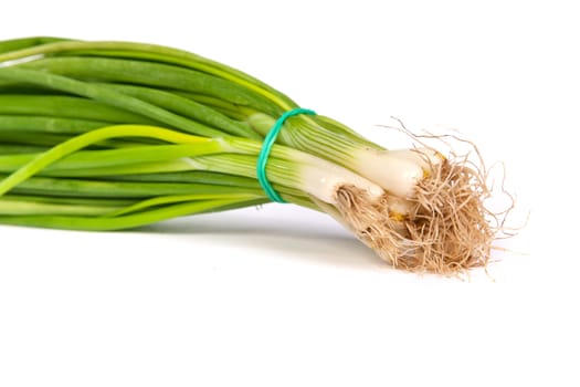 Fresh scallions isolated on a white background with soft shadow.