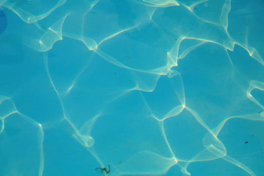 reflections in a swimming pool............