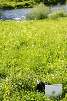 laptop in a spring field