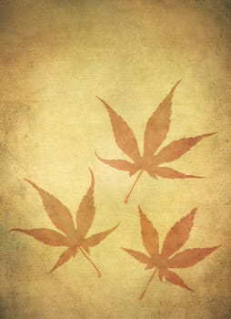 Three japanese maple leafs on a linen textured background in a grungy style.