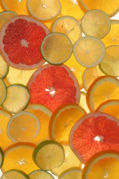 citrus fruits in slices...........