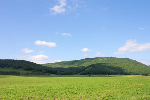 Beautiful summer landscape