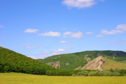 Summer landscape with mountains