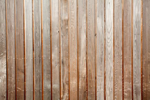 Wood Panel Texture and Background
