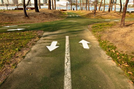 Pedestrian pathway in the park in warm spring evening