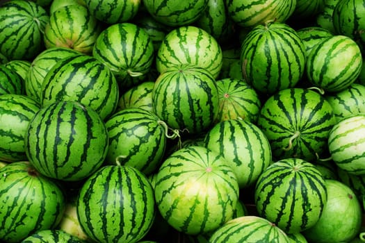 A close-up of many watermelons