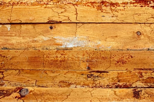 Detail of the shield of the new wet wooden boards partially covered with mold