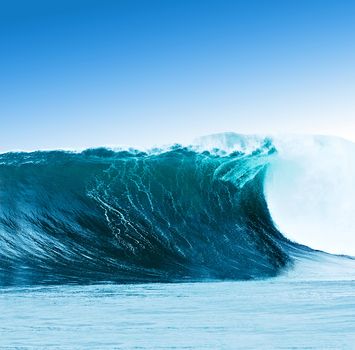 Large surfing wave breaks in the ocean