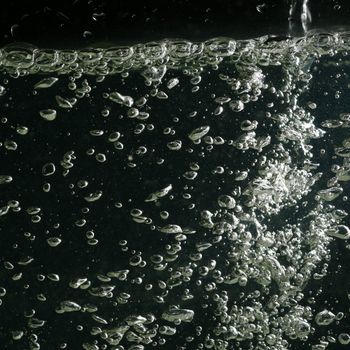 water bubbles macro close up