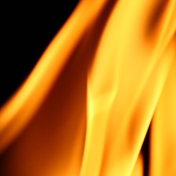 fire flame close up on black background
