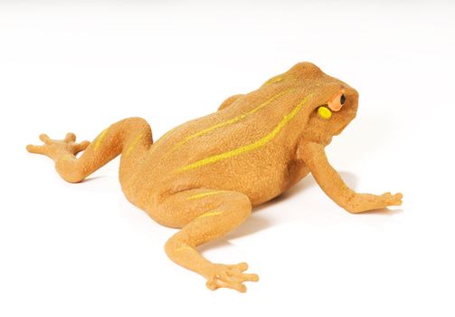 isolated yellow frog with striped on white background