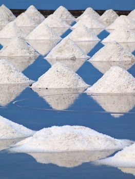 Heap of sea salt in a field prepared for harvest 