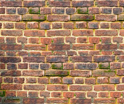 weathered brick wall with various shades of brick. Rough mortar is visible.