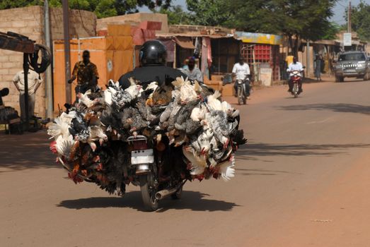 motorcycle







biker in Africa