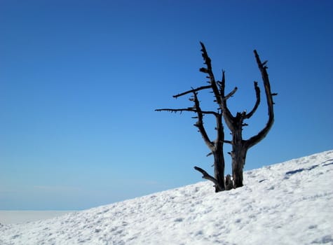 snowy mountain under sunshine