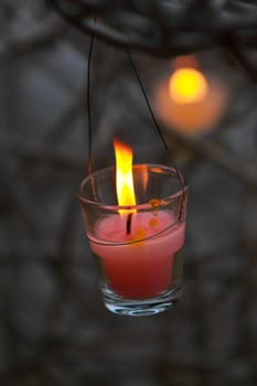 Glass candle on tree branch