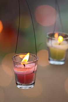 Glass candle on tree branch