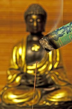 acupuncture needle and moxibustion