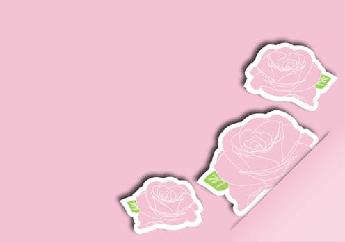 Greeting card with pink roses vector illustration