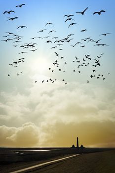 Lighthouse in Westerhever at the evening sunset with sun and birds
