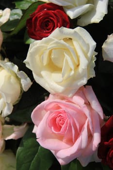 Three roses in red, white and pink, part of a floral composition