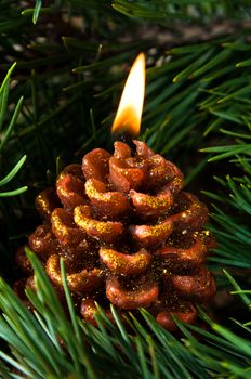 One candle like pine cone burning in evergreen needles