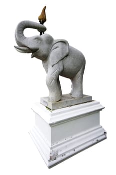 Elephant model with white background.
