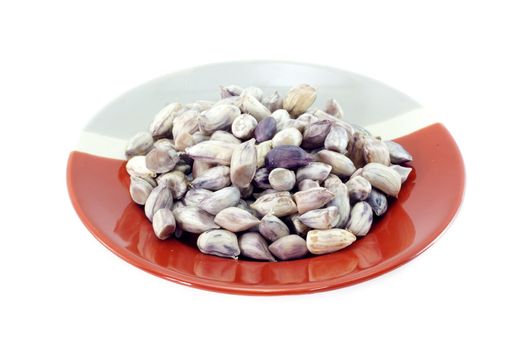 Peanuts on red and gray plate.