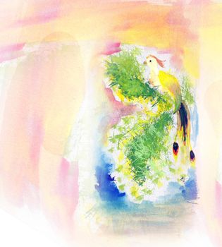 colorful watercolor paint bird illustration