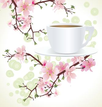 tea cup and blossoming sakura tree )cherry tree) branches �����