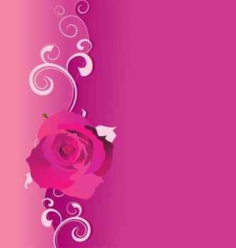 pink vector background with roses and curves for love and wedding, romance illustration