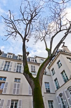 The place de Furstenberg, where Delacroix decided to live, is famous as one of the most charming squares in Paris.