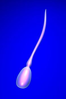 Sperm Cell. 3D rendered Illustration. 
