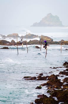 Gale, Sri Lanka - December 13, 2011: Traditional for south Sri Lanka's sea coast fishing on perches in the sea