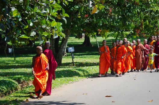 Kandy, Sri Lanka - December 8, 2011:  Buddhism children monks in orange clothes follow path in a botanic garden