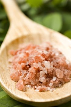 Course pink Himalayan salt on a wooden spoon